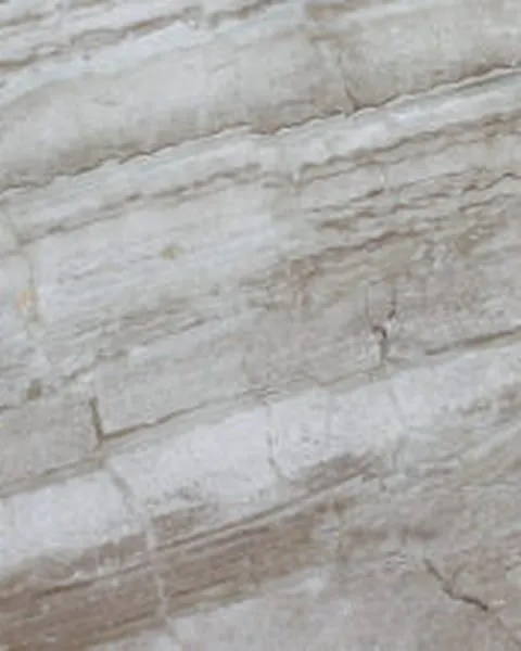 Lempeng Dino Beige, Marble warna Cream